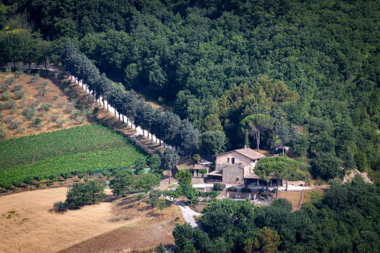 Agriturismo Colle Pu Pieve San Nicolo Exterior photo